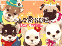 ꡼ No.001Υͥ / ֤󤳤ΤforХסǽȥӥ󥴡ɤ