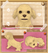 ꡼ No.005Υͥ / ֤󤳤ΤforХסǽȥӥ󥴡ɤ