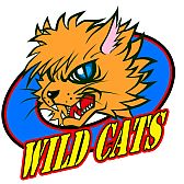 ꡼ No.023 | 3DSDLեȡARC STYLE塪3Dפ711ۿ