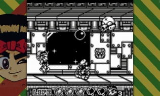 画像ギャラリー No.008のサムネイル画像 / 「パチパラ3D 大海物語2 With アグネス・ラム」に収録される4作品が決定