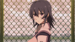 ꡼ No.001 | TV˥֥ޥ֥ 륿ͥƥ11248äԥåȤ