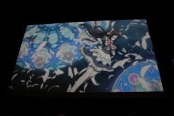 ꡼ No.008 | ֿͤȱ̿̿ΥѥɥפήԤױǲ貽ޤǡ20ǯޤܰ쥽եȥ¿ͤʥ󥸤Ǥե󥹤ݡ