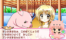 ꡼ No.006 | ̡֤㤪פϢΡ֤ӡǥӡפ˥ƥɡ3DSѥɥ٥㡼Ȥʤäо