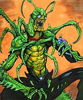 ꡼ No.005 | Androidǡ֥ޥʡפۿˡiOSǤOPࡼӡ