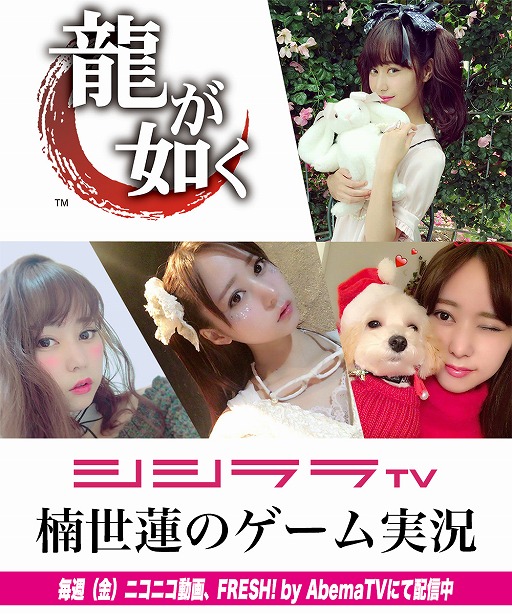 ꡼ No.001Υͥ / TVͥ ϡ󤬡ζǡ״ꥢܻؤ褬