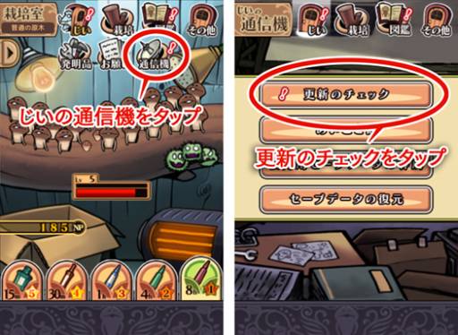 画像ギャラリー No.013のサムネイル画像 / 「なめこ栽培キットDeluxe」にシステム「品種改良」が実装。9月イベントも開始