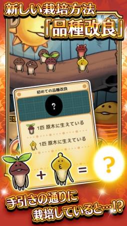 ꡼ No.002 | õ ʤᤳݥåDeluxe