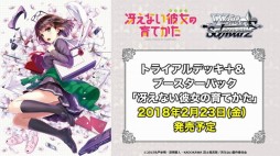 ꡼ No.013Υͥ / ֥֥Ķάȯɽפݡȡ¿λ勵ȥ뤬줿֥ġפʤɡTCGȥο亣Ÿ