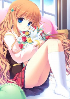 ꡼ No.001Υͥ / Ǥ벵̤ɬ!? ADV֥奬ꥣ å -Limited-פ2012ǯߤȯ