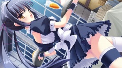 ꡼ No.003Υͥ / Ǥ벵̤ɬ!? ADV֥奬ꥣ å -Limited-פ2012ǯߤȯ