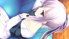 ꡼ No.027Υͥ / Ǥ벵̤ɬ!? ADV֥奬ꥣ å -Limited-פ2012ǯߤȯ