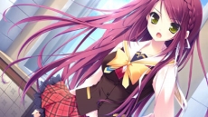 ꡼ No.028Υͥ / Ǥ벵̤ɬ!? ADV֥奬ꥣ å -Limited-פ2012ǯߤȯ