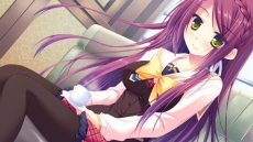 ꡼ No.029Υͥ / Ǥ벵̤ɬ!? ADV֥奬ꥣ å -Limited-פ2012ǯߤȯ