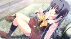 ꡼ No.038Υͥ / Ǥ벵̤ɬ!? ADV֥奬ꥣ å -Limited-פ2012ǯߤȯ