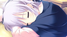 ꡼ No.040Υͥ / Ǥ벵̤ɬ!? ADV֥奬ꥣ å -Limited-פ2012ǯߤȯ