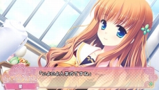 ꡼ No.044Υͥ / Ǥ벵̤ɬ!? ADV֥奬ꥣ å -Limited-פ2012ǯߤȯ