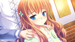 ꡼ No.012Υͥ / ֥奬ꥣ å -Limited-ס饯ãΥ꡼󥷥å10礬