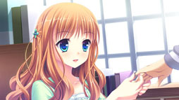 ꡼ No.013Υͥ / ֥奬ꥣ å -Limited-ס饯ãΥ꡼󥷥å10礬