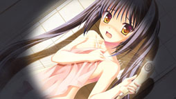 ꡼ No.016Υͥ / ֥奬ꥣ å -Limited-ס饯ãΥ꡼󥷥å10礬