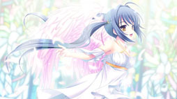 ꡼ No.017Υͥ / ֥奬ꥣ å -Limited-ס饯ãΥ꡼󥷥å10礬