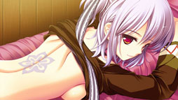 ꡼ No.018Υͥ / ֥奬ꥣ å -Limited-ס饯ãΥ꡼󥷥å10礬