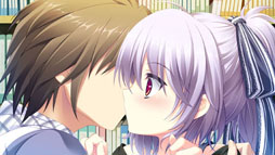 ꡼ No.019Υͥ / ֥奬ꥣ å -Limited-ס饯ãΥ꡼󥷥å10礬