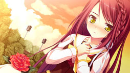 ꡼ No.021Υͥ / ֥奬ꥣ å -Limited-ס饯ãΥ꡼󥷥å10礬