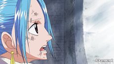 ꡼ No.029 | ֥ԡ ROMANCE DAWN ס¤˺ƸܥХȥ륷ƥҲ 