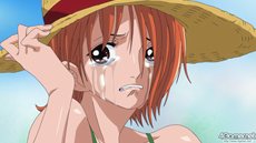 ꡼ No.030 | ֥ԡ ROMANCE DAWN ס¤˺ƸܥХȥ륷ƥҲ 