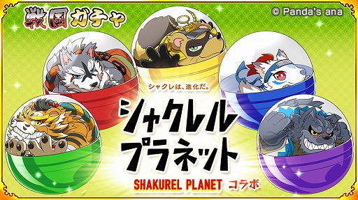 ꡼ No.011 | ѥ!!ˤޤס㥯ץͥåȤȤΥܤ319˥