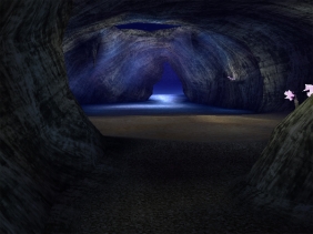 ꡼ No.007 | ӥ⤬󶡤ȥǭˤʤڡ򳫺