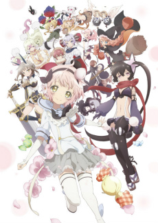 ꡼ No.010 | ֥٥륪饤ס˥ˡײפȤΥܤ