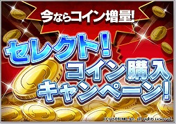 ꡼ No.003 | ӥΥޥۥץ10ȥǺ80󥪥դΥ»