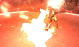 ꡼ No.002 | AVABEL ONLINE緿åץǡȤǾ֥̿꡼СפEX פɲ