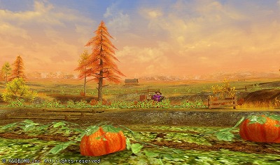 ꡼ No.001 | ֥٥륪饤סޥåס¼55Fɤ