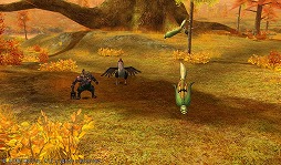 ꡼ No.004 | ֥٥륪饤סޥåס¼55Fɤ