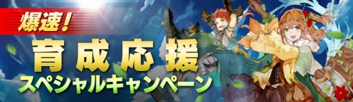 ꡼ No.003 | ֥٥륪饤GW٥ȡȲ⶿εɤ곫Ť