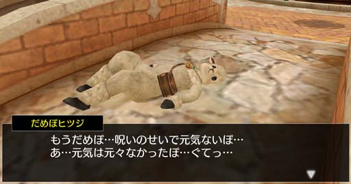 ꡼ No.003Υͥ / ֥٥륪饤ס٥ȡȥͫݵɳ档֥ӥȢ30פʤɥ쥢ƥγ