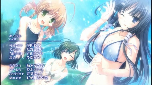 ꡼ No.001Υͥ / ֲΥ󥻥ߥ portableסPSPǥꥸʥΥץ˥󥰥ࡼӡ 