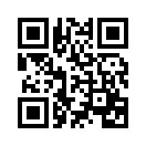 ꡼ No.003Υͥ / ꡼Υ륲֥ѡܥåCard Chronicleפۿϡɥ㡦館ꥷꥢ륳ɥڡ