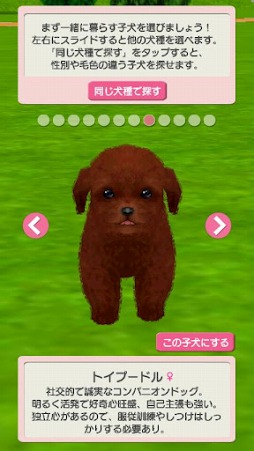 ꡼ No.003 | ֤ɤǤڥå 襤ҸפۿȡҸȰι褦