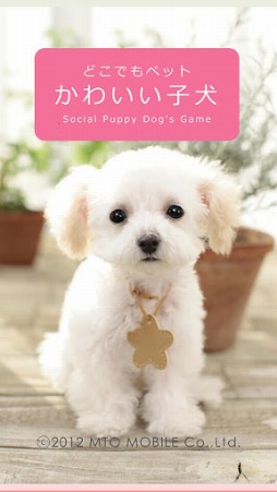 ꡼ No.002 | ɤǤڥå 襤Ҹ