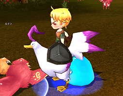 ꡼ No.010 | ڥåȤȵơޤȤ֥ߥʥġԥץ쥤ݡȡطȤĩ