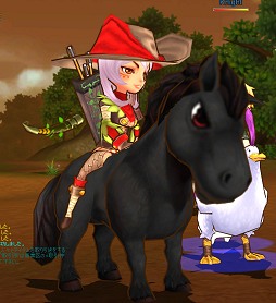 ꡼ No.016 | ڥåȤȵơޤȤ֥ߥʥġԥץ쥤ݡȡطȤĩ