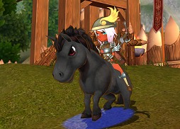 ꡼ No.011 | PR֥ۡߥʥġ4Ĥθ72OBTϤͤ£ȵο