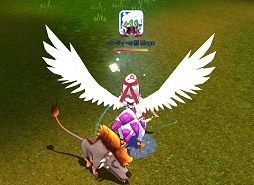 ꡼ No.038 | PR֥ۡߥʥġ4Ĥθ72OBTϤͤ£ȵο