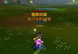 ���������꡼ No.064�Υ���ͥ������ / ��PR�ۥ롼�������������ܻؤ��֥���ߥ��ʥ��ġ�4�Ĥθ���72��������סȵ���������ο����ɸ��ԡʥ����޴��դ���