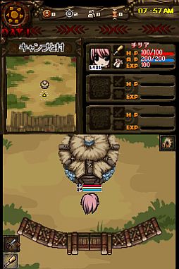 ꡼ No.017Υͥ / DSiThe Lost Town -The Jungle-׸Ȥߡ22ۿ