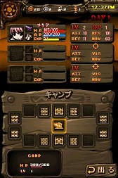 ꡼ No.019Υͥ / DSiThe Lost Town -The Jungle-׸Ȥߡ22ۿ