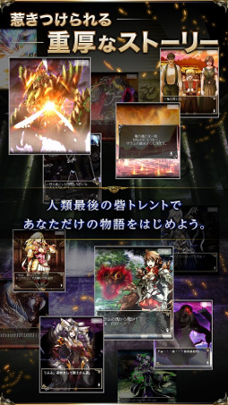 ꡼ No.005 | ֥ɥ饴󥭥Хꥢפץۿ